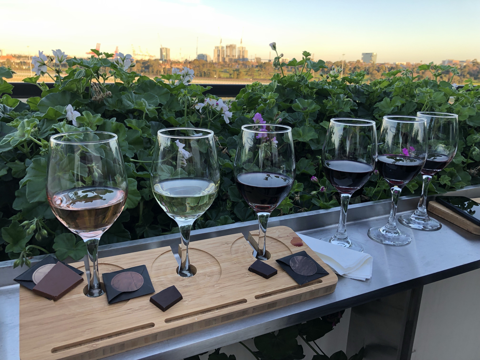 蒸汽火车与酒庄风景